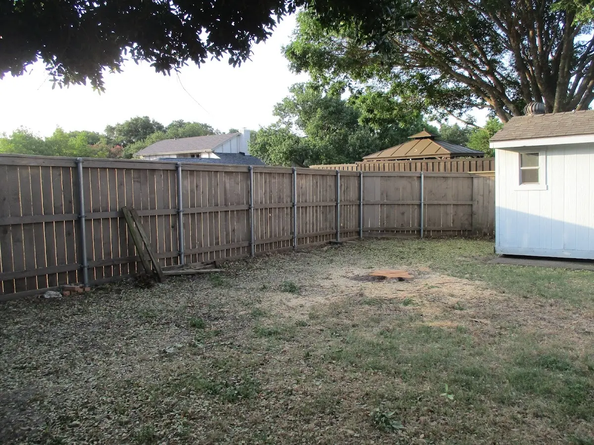 Cleared yard after professional tree removal in Sweetwater