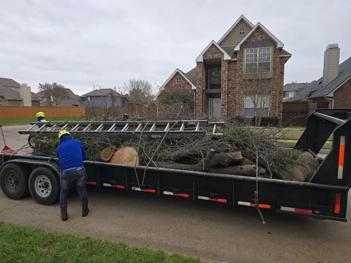 Expert Lot Clearing with proper safety equipment in Sweetwater